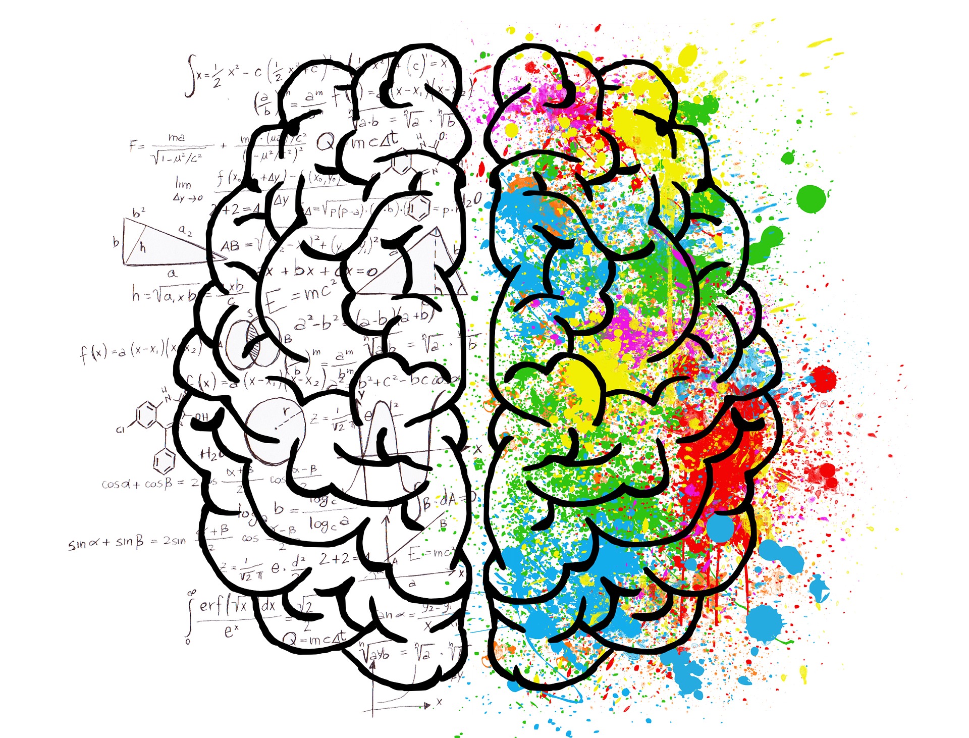 brain-2062057_1920 (1)